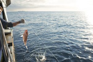 Fishing in Hauraki Gulf Aotearoa New Zealand