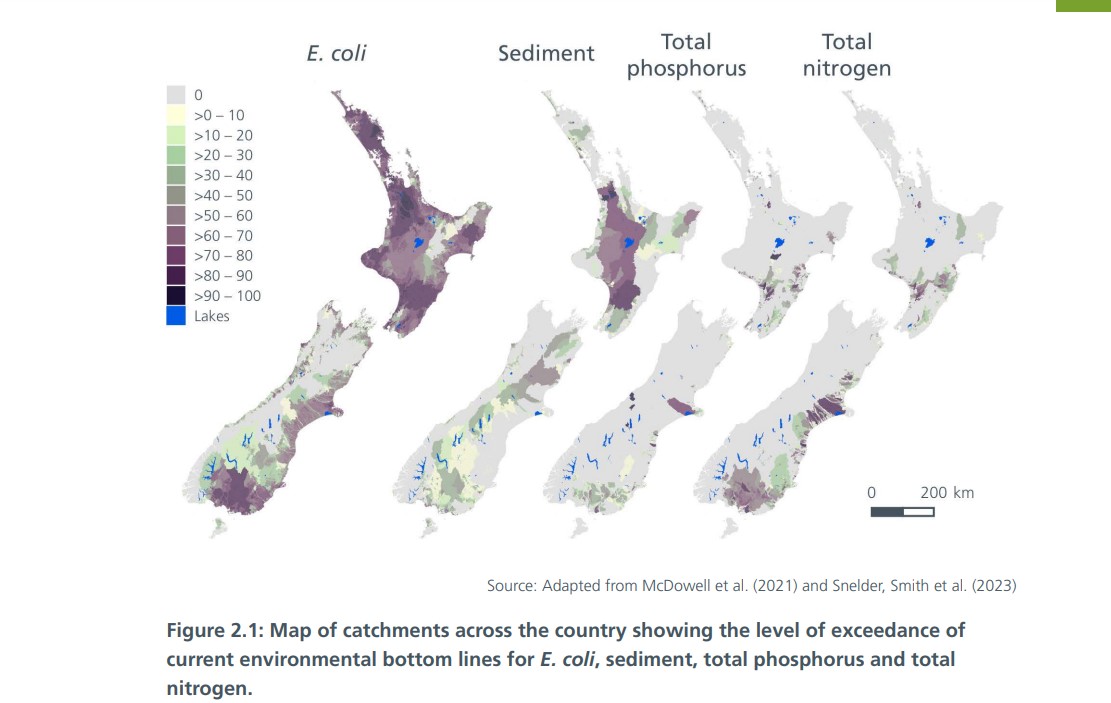 Chatham Rock Phosphate  (Managing the response to a proposal for Deep Sea Phosphate Mining)