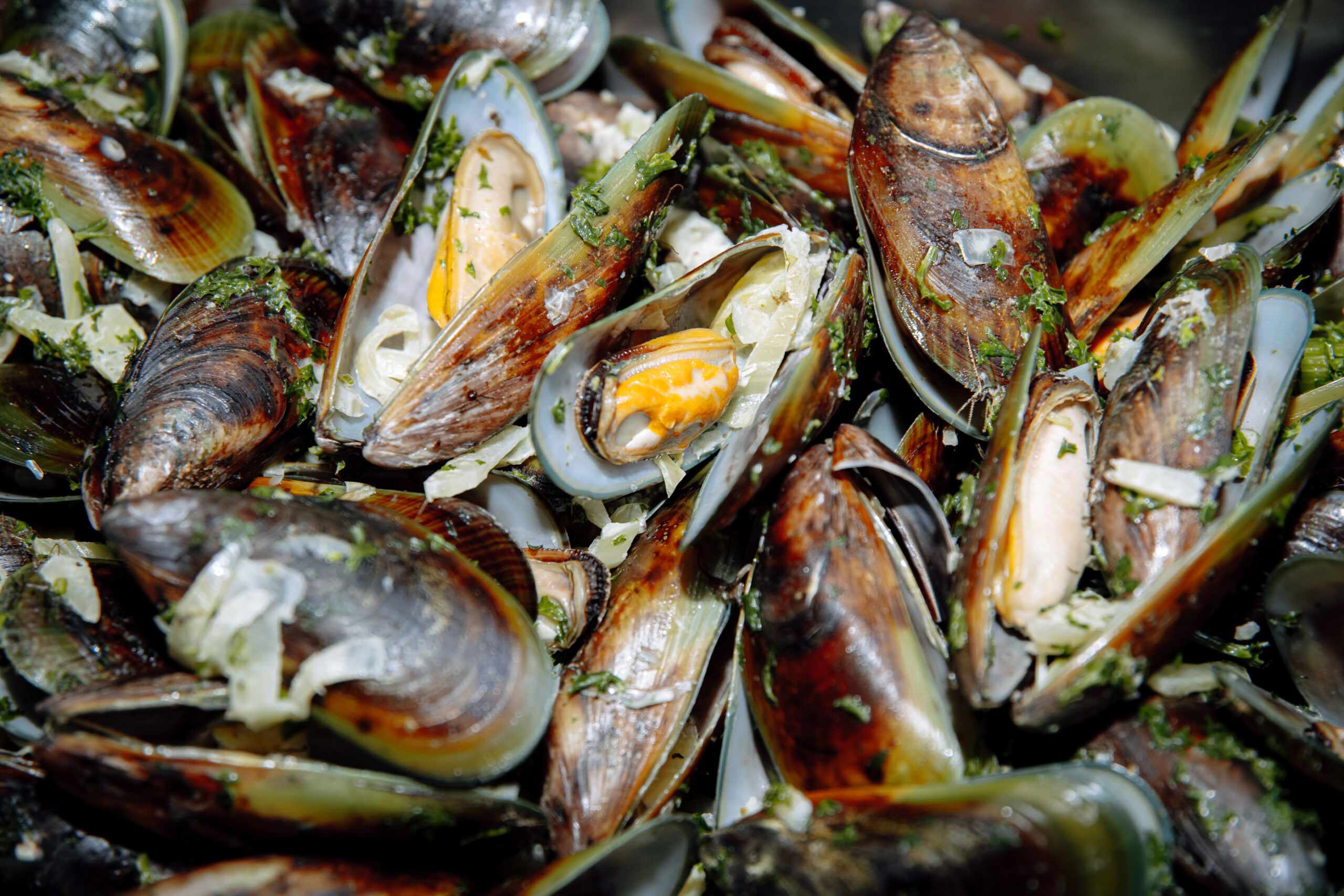 Te Waiariki / Bay of Plenty Māori Aquaculture