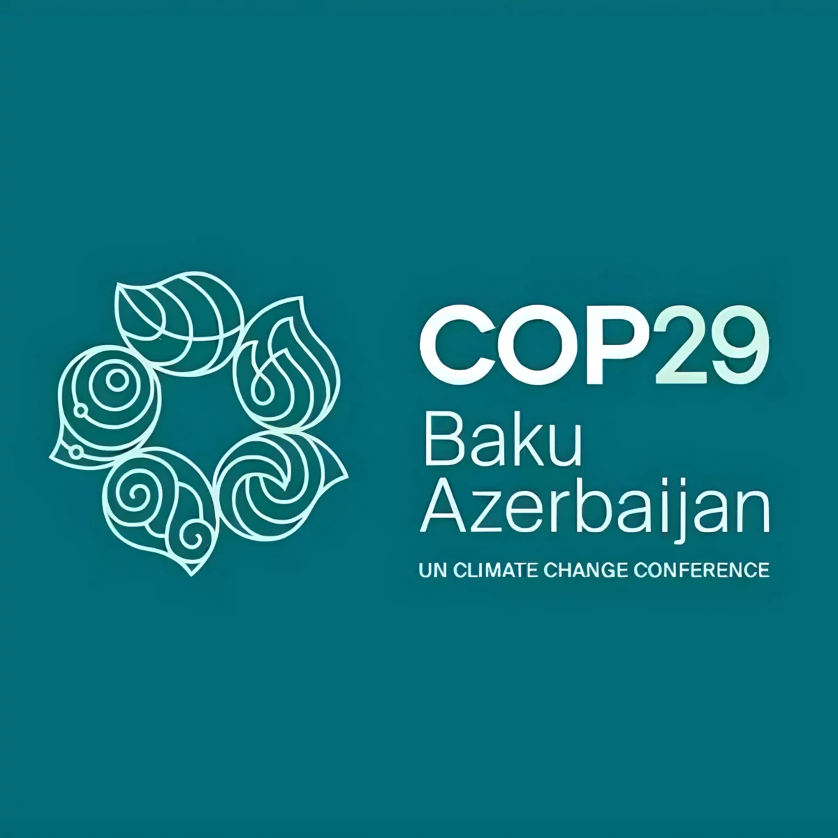 All about COP29